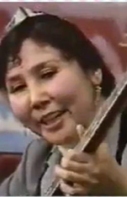 Turnisa Salaⱨidin